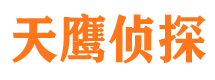 岑巩侦探公司